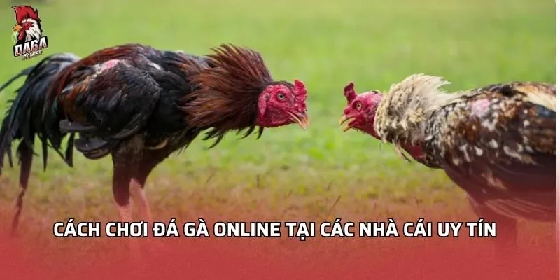 cach-choi-da-ga-online