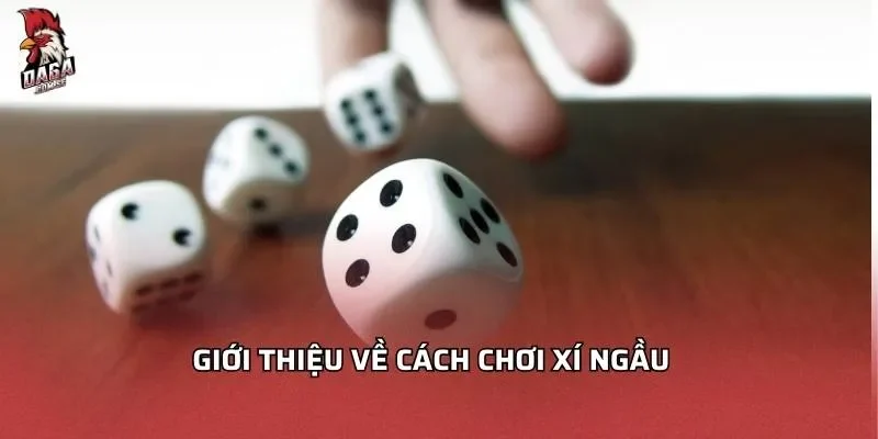 gioi-thieu-ve-cach-choi-xi-ngau
