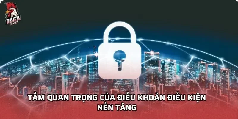 tam-quan-trong-cua-dieu-khoan-dieu-kien