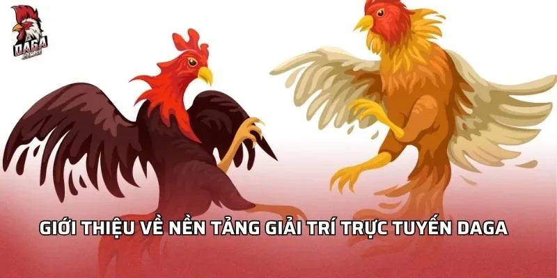 Giới thiệu về nền tảng giải trí trực tuyến Daga